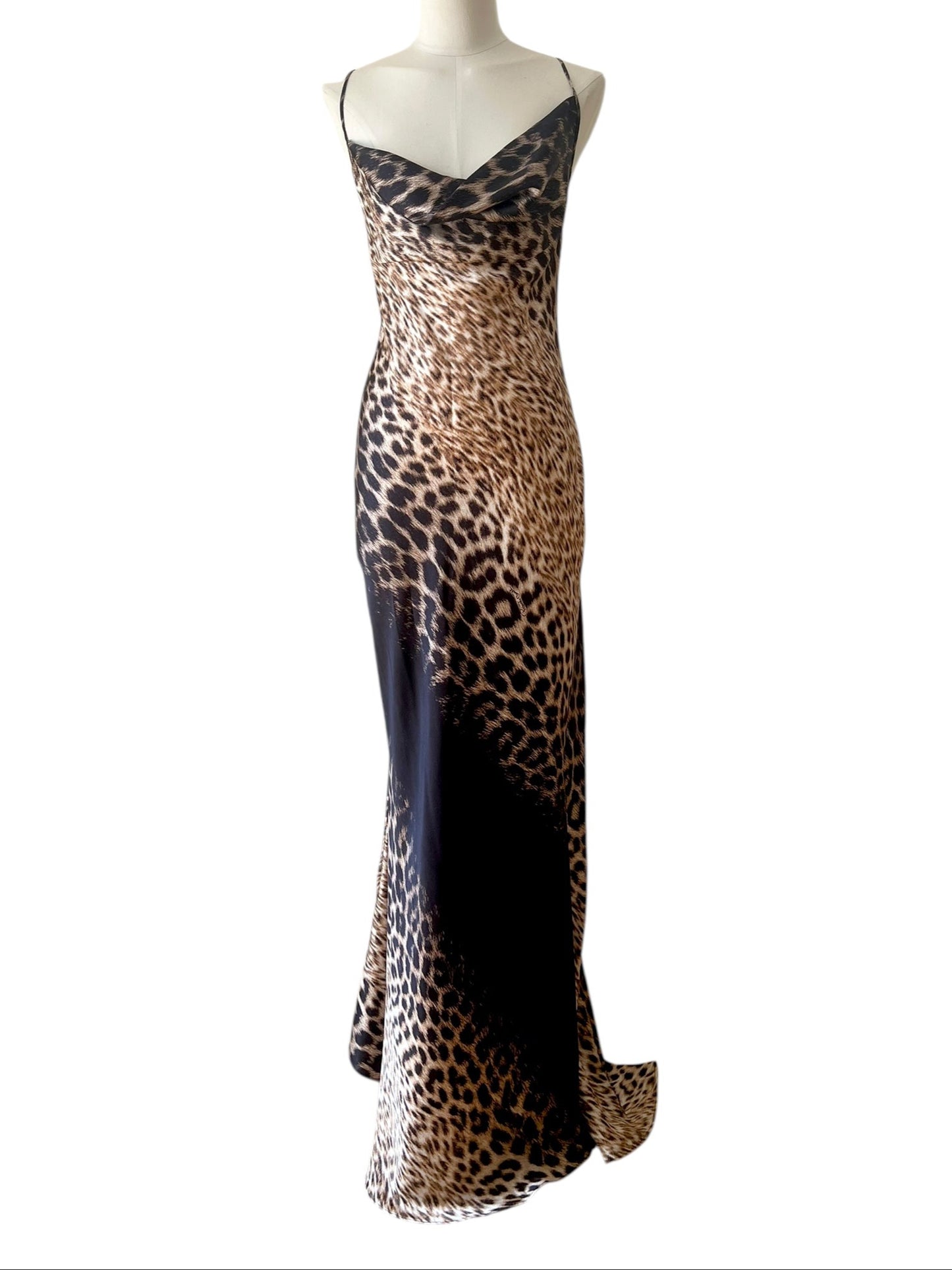Roberto Cavalli printed maxi dress