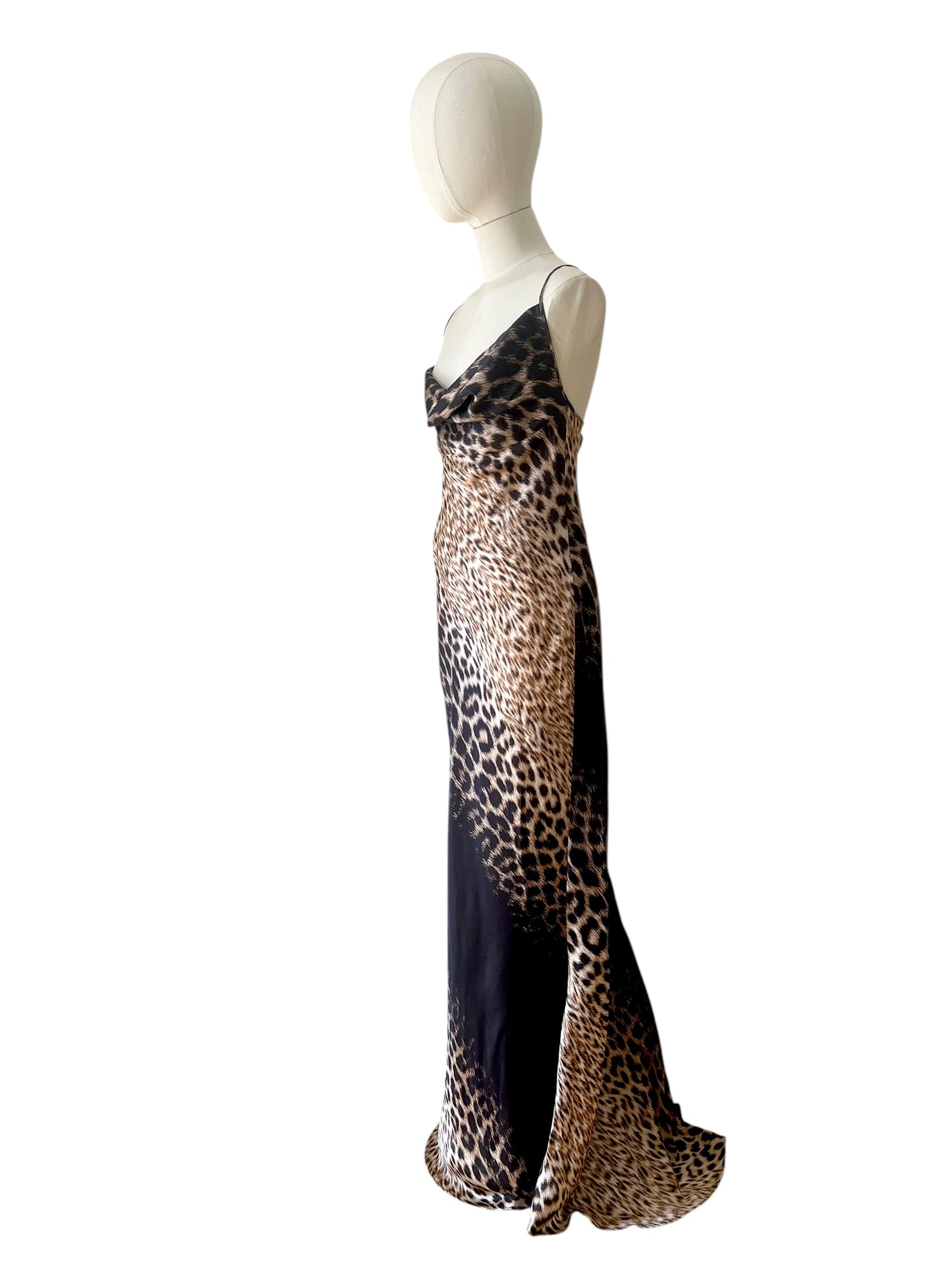 Roberto Cavalli printed maxi dress