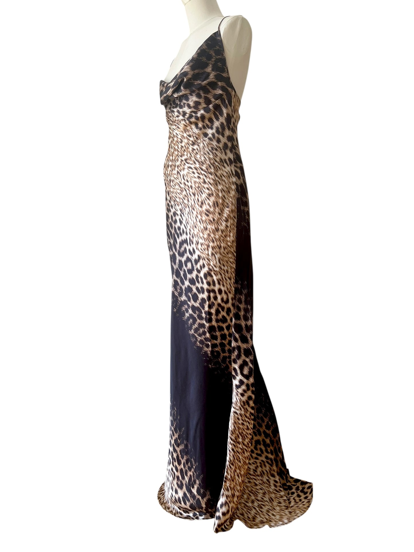 Roberto Cavalli printed maxi dress