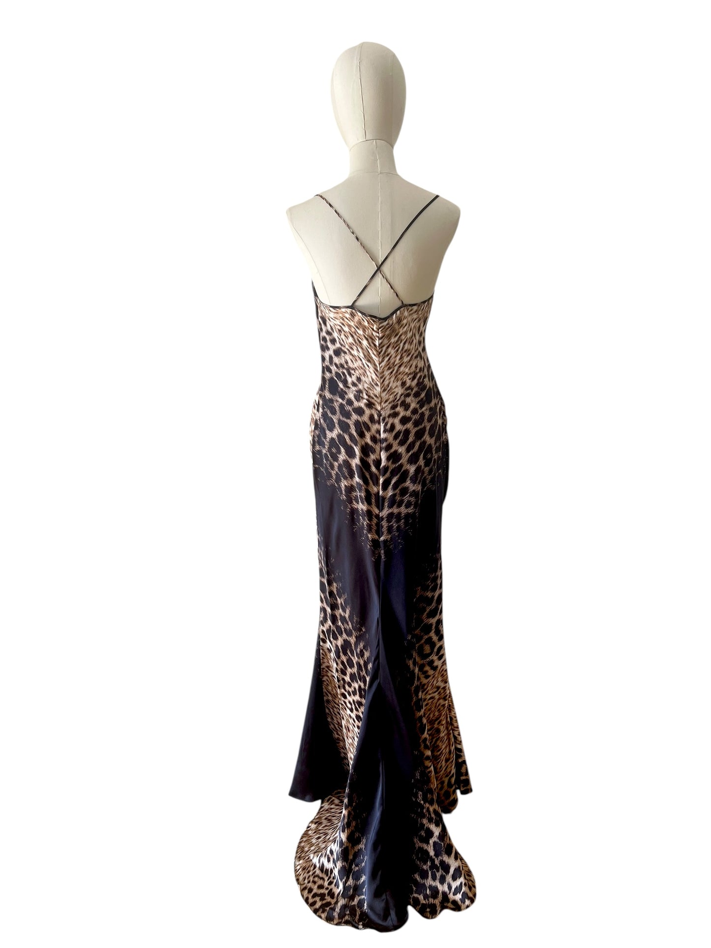 Roberto Cavalli printed maxi dress