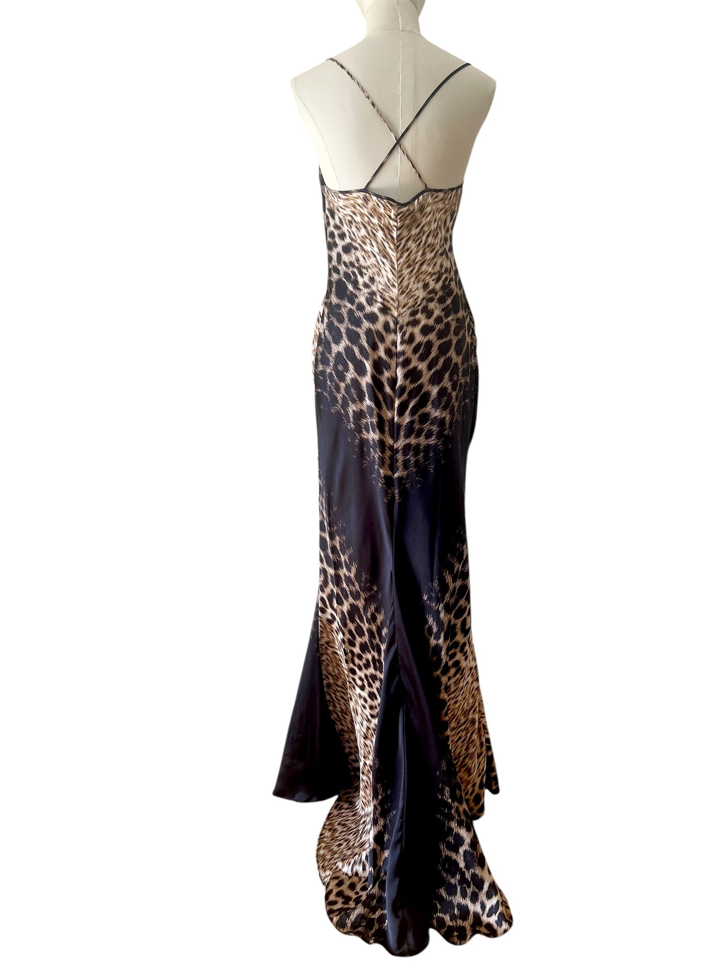 Roberto Cavalli printed maxi dress