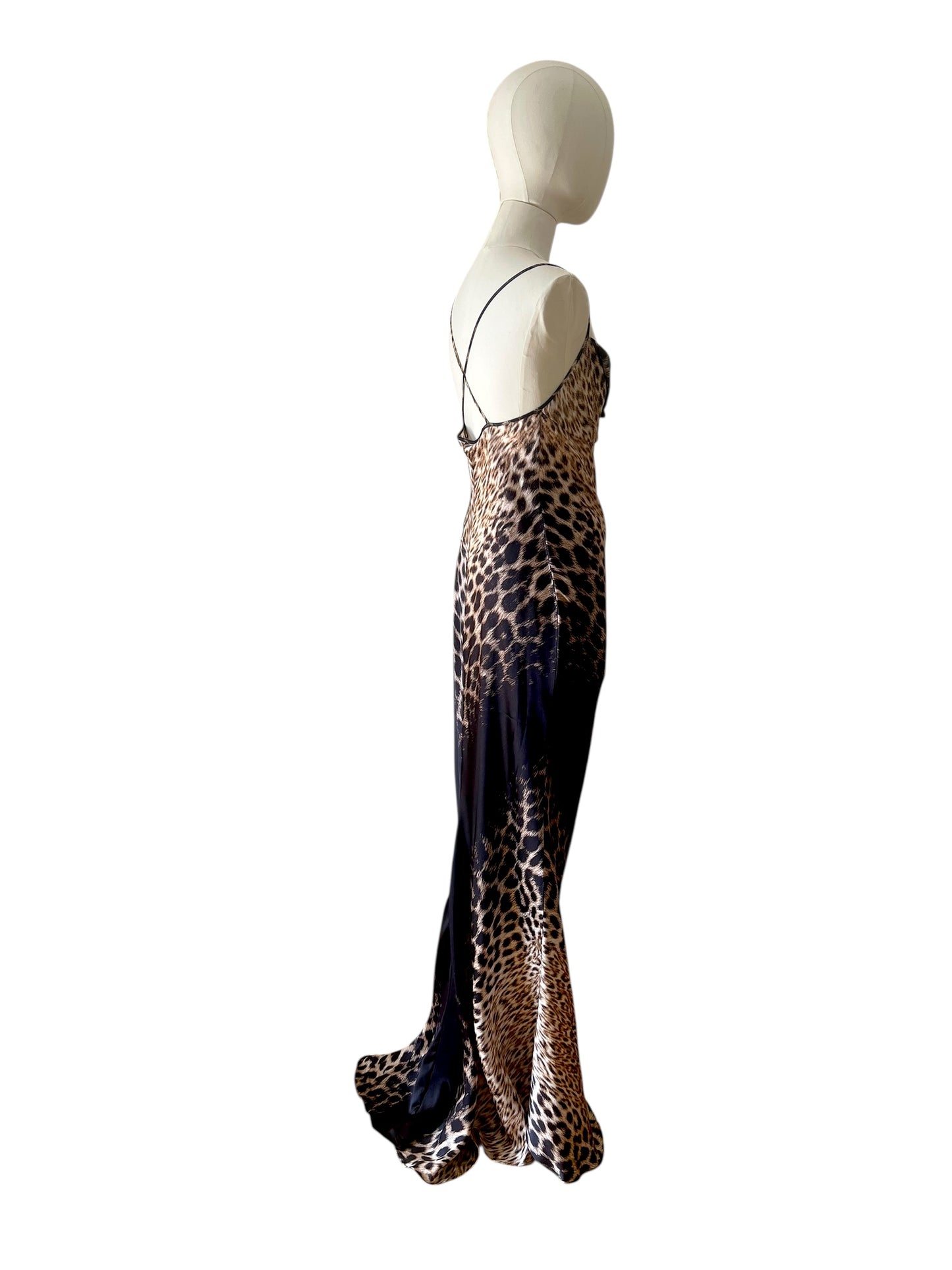 Roberto Cavalli printed maxi dress