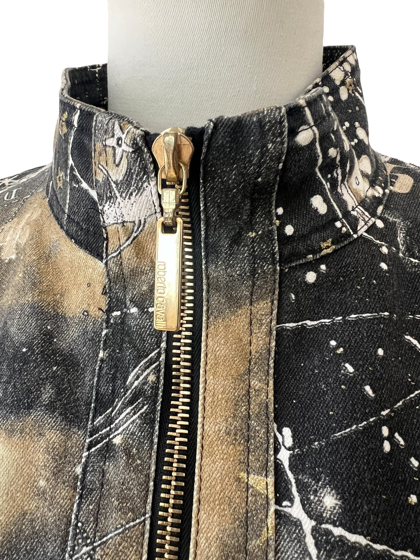 Roberto Cavalli giacca stellar