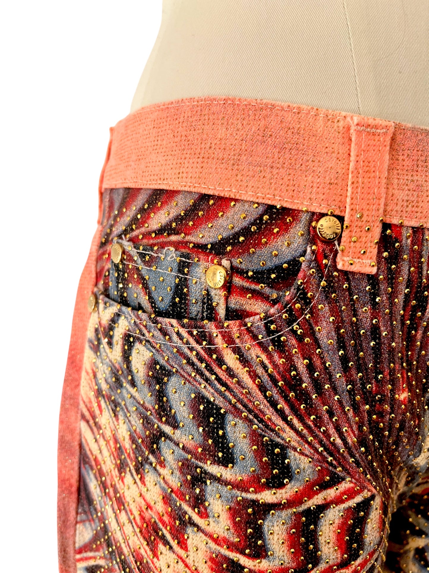 Roberto Cavalli Art Collection pant