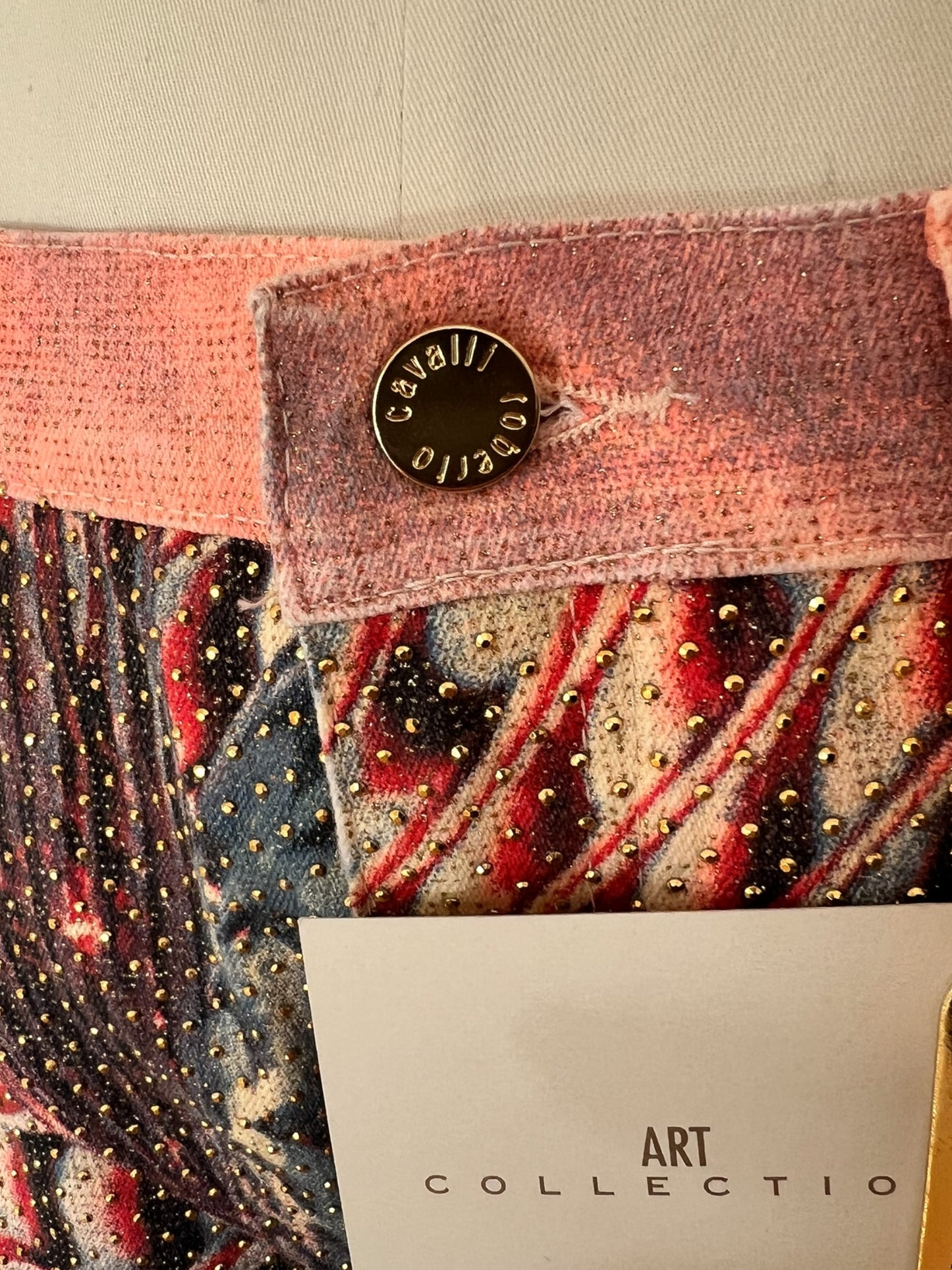 Roberto Cavalli Art Collection pant