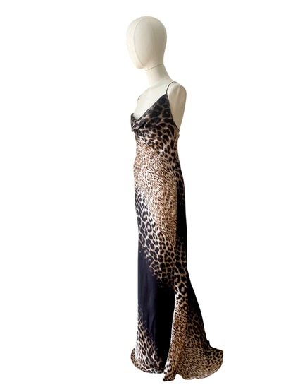 Roberto Cavalli printed maxi dress