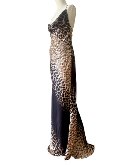 Roberto Cavalli printed maxi dress